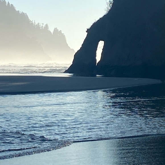 Meet your Posher, Amber - Picture 3 of 5